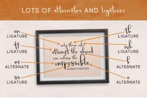 Beautiful Things Alts And Ligs