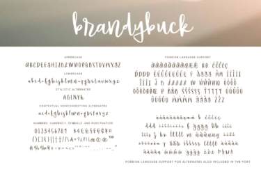 Brandybuck Regular Letters