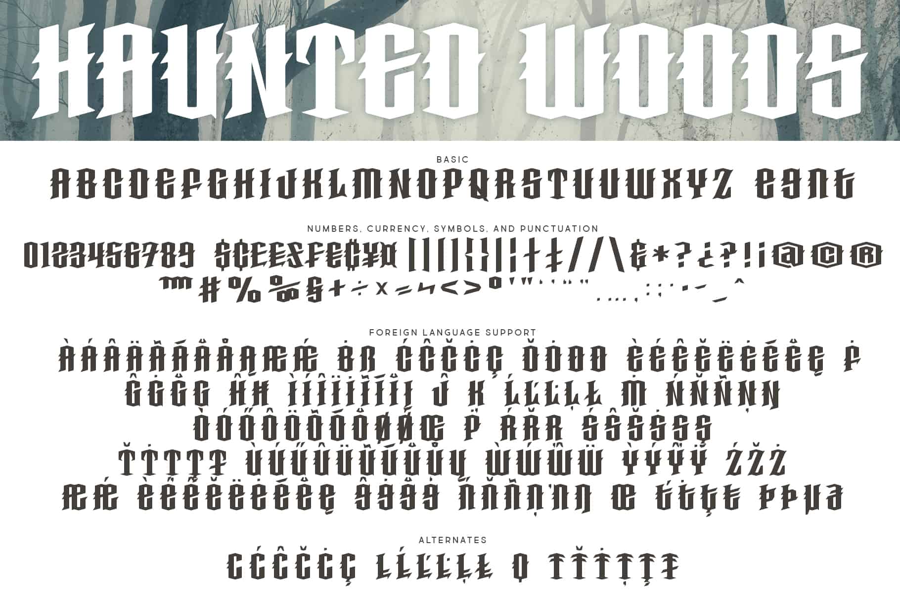 Regular Regular Letters