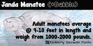 Janda Manatee Fp 950x475
