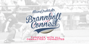 Brannboll Connect Poster01