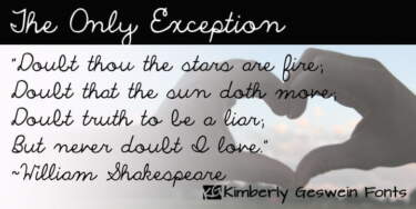 The Only Exception Fp 950x475