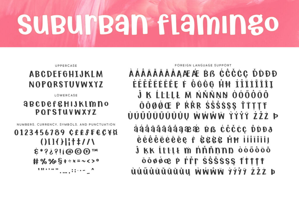 Suburban Flamingo Regular Letters