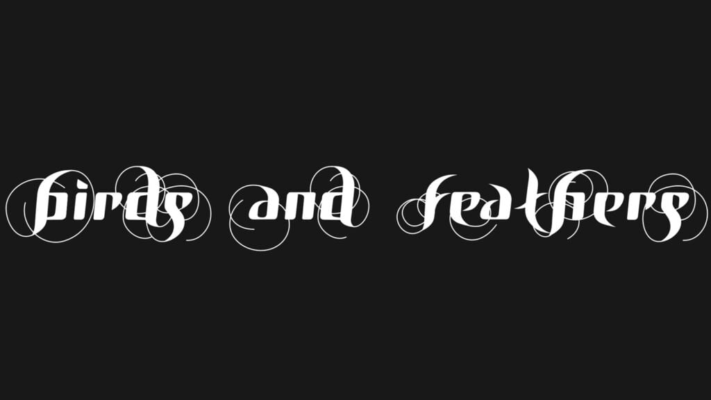 Birds And Feathers Font