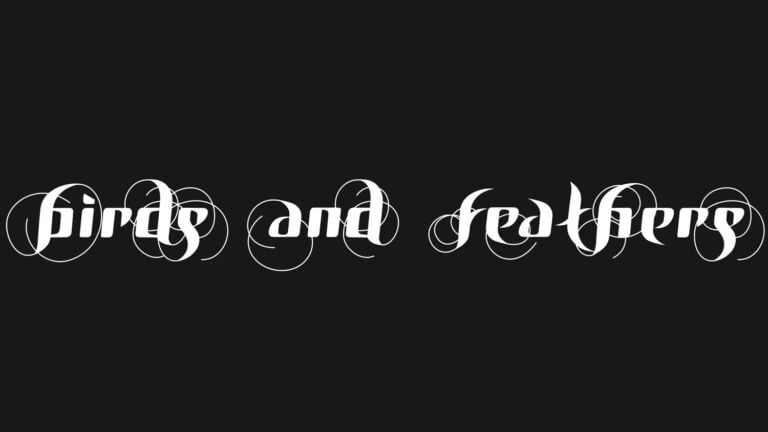 Birds And Feathers Font
