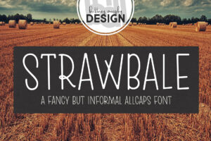 Strawbale Graphic