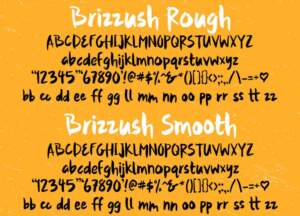 Brizzush2