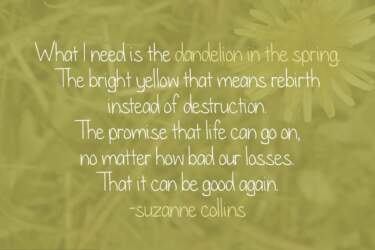 Dandelion In The Spring Quote