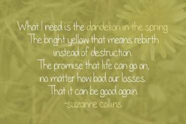 Dandelion In The Spring Quote