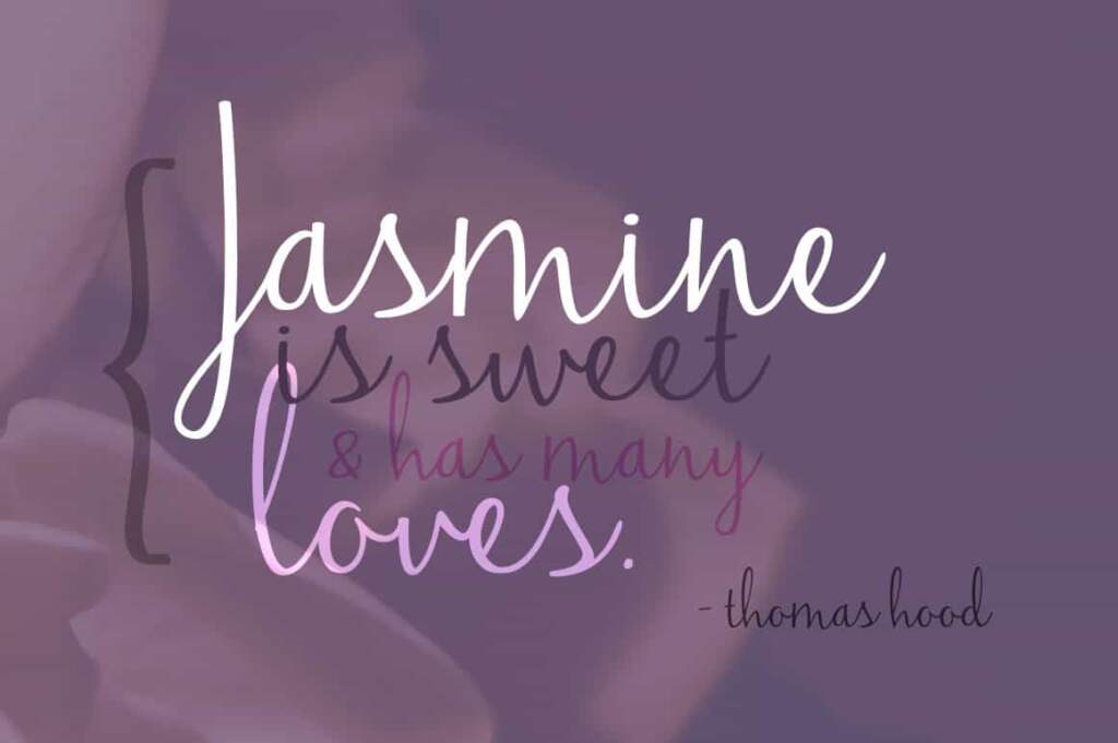 Jasmine Reminiscentse Quote