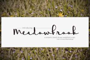 Meadowbrook