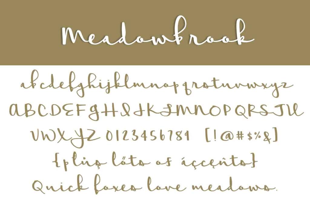 Meadowbrook Letters