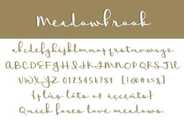 Meadowbrook Letters