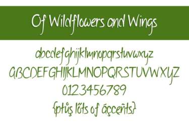 Of Wildflowers And Wings Letters