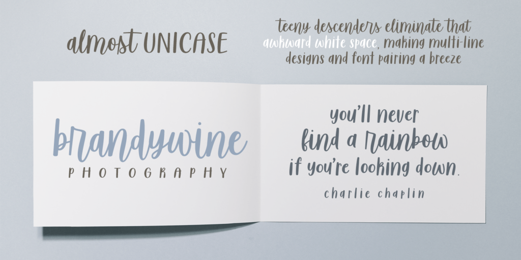 Sugar & Spice Font Duo Myfonts Almost Unicase