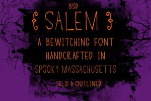 BSD Salem Graphic