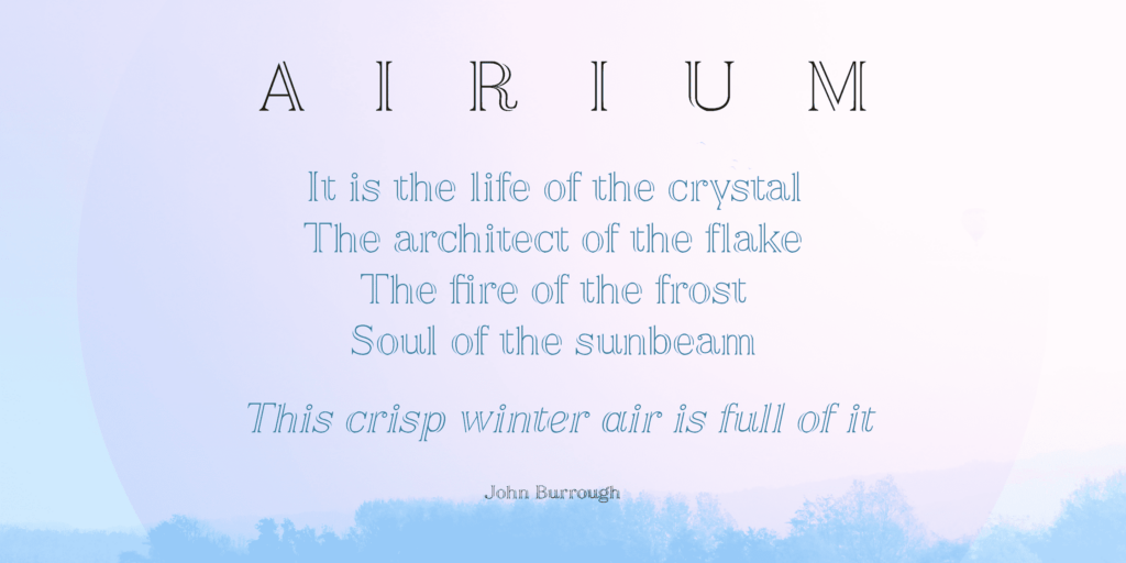 Airium Poster02