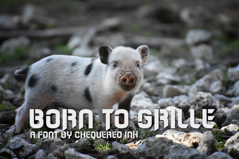 Born To Grille Font