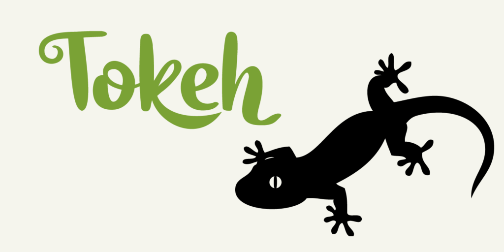 Tokeh Font