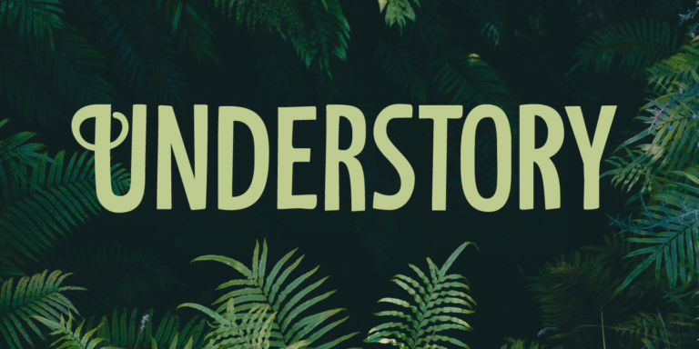 Understory Font