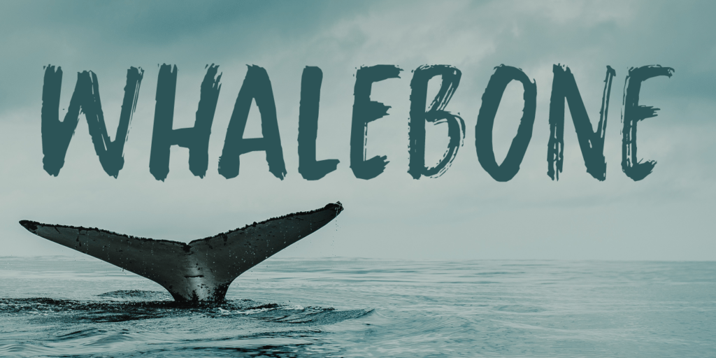 Whalebone Font