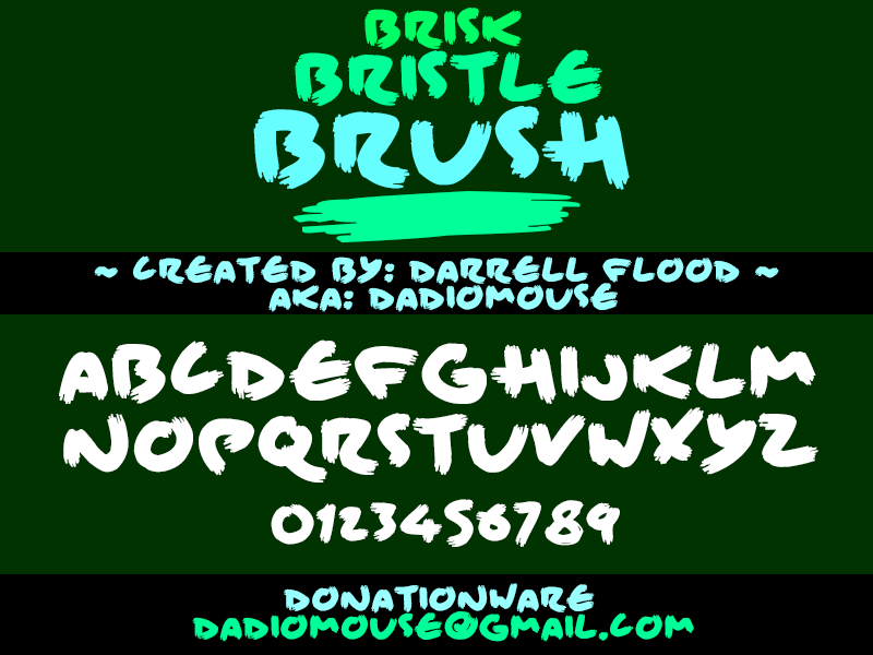 Brisk Bristle Brush Front