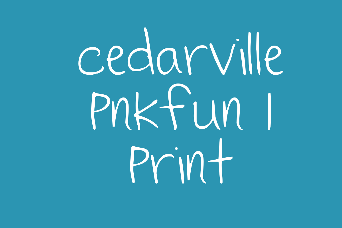 Cedarville Pnkfun 1 Print Title Image