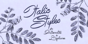Avelana Poster02