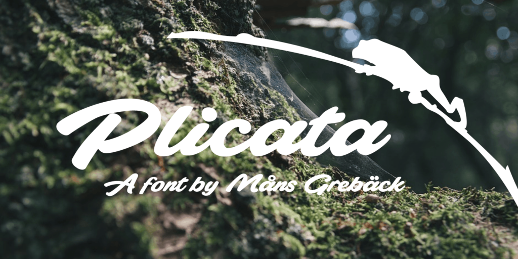 Plicata Poster03